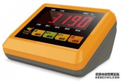 電子黄瓜影院污免费下载XK3190儀表係列產品